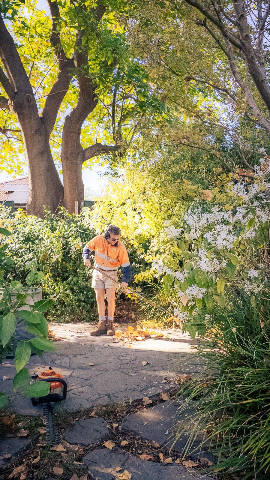 Garden maintenance, an Eden gardener working along a stone garden path